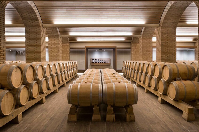 Picture 4 for Activity Eskuernaga: Basque Wine Tasting and Winery Tour