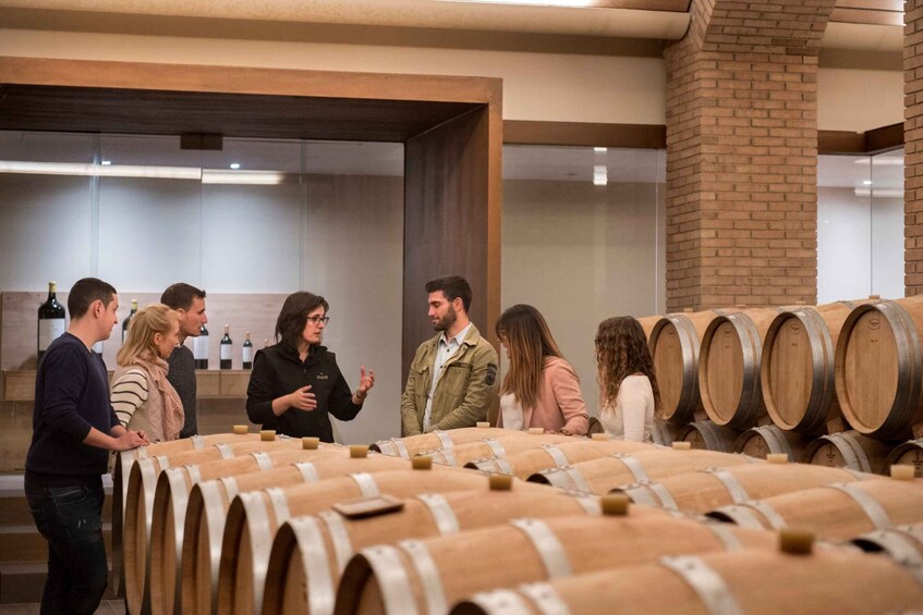 Picture 1 for Activity Eskuernaga: Basque Wine Tasting and Winery Tour
