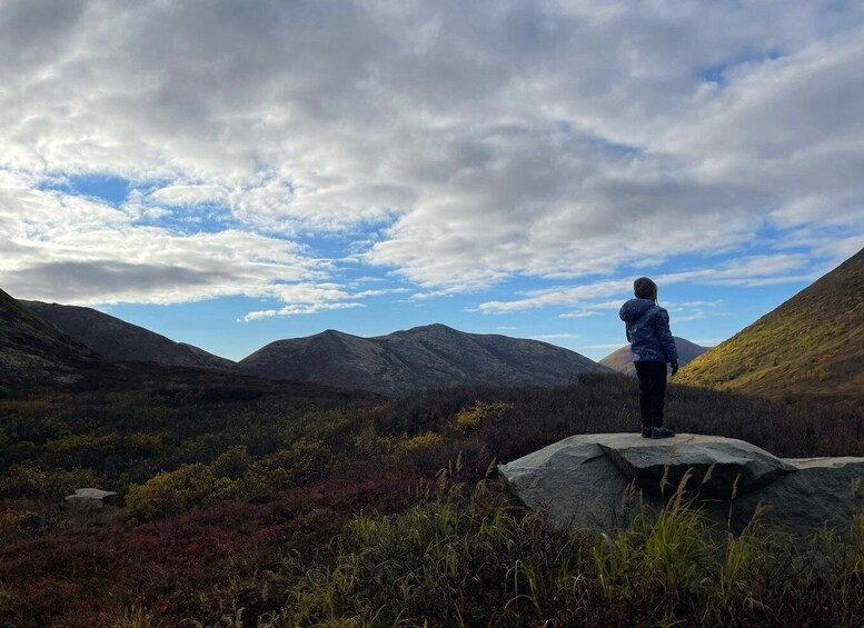 Picture 2 for Activity From Anchorage: Chugach State Park Walk with Naturalist