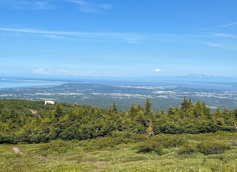 Picture 6 for Activity From Anchorage: Chugach State Park Walk with Naturalist