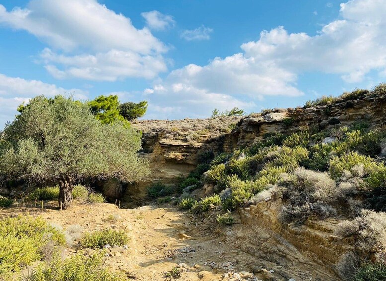 Picture 7 for Activity Rhodes: Guided Hike to 7 springs from Archangelos