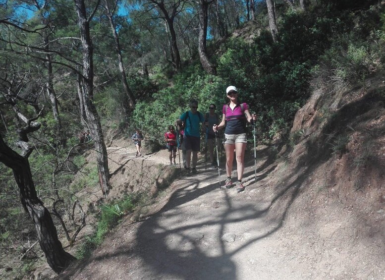 Picture 9 for Activity Rhodes: Guided Hike to 7 springs from Archangelos