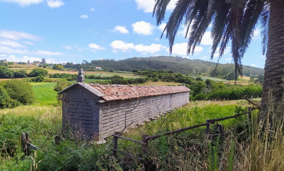 Picture 6 for Activity From Santiago de Compostela: Finisterre and Muxía Day Trip