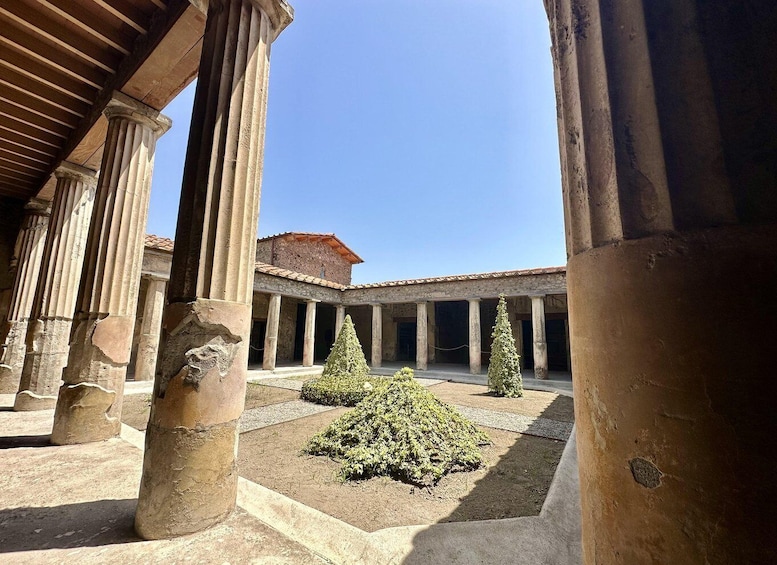 Picture 10 for Activity Pompeii: Guided Tour & Wine Tasting at Mt. Vesuvius