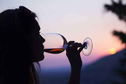 Pompéi : Visite guidée et dégustation de vin au Mont Vésuve