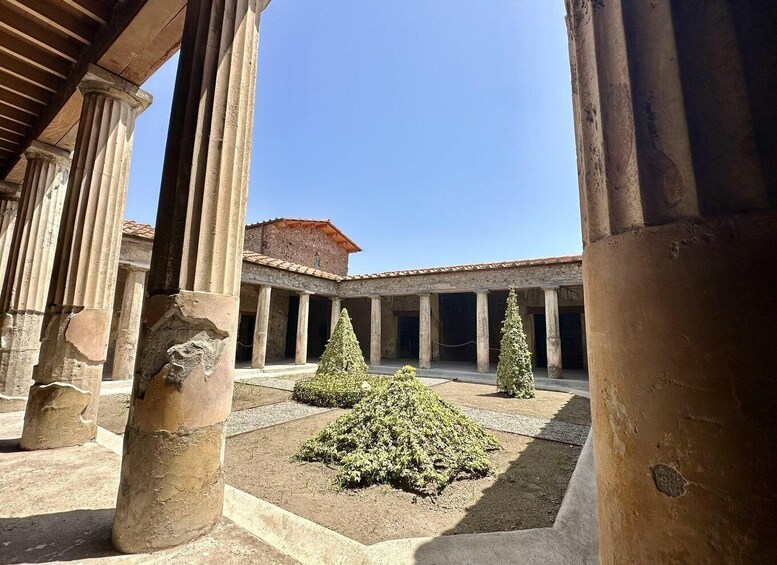 Picture 10 for Activity Pompeii: Guided Tour & Wine Tasting at Mt. Vesuvius