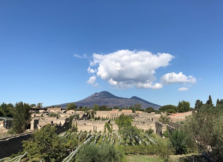 Picture 7 for Activity Pompeii: Guided Tour & Wine Tasting at Mt. Vesuvius