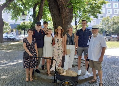 Bratislava: Bratislavan kaupunkikierros: Iltapäiväkävelykierros