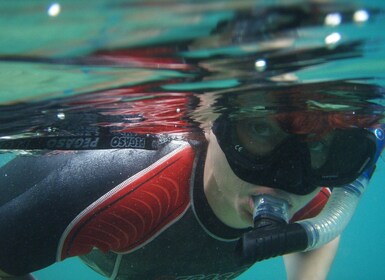 Tucepi: Snorkeling Boat Tour at the Makarska Riviera