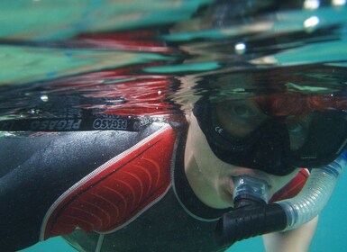 Tucepi: Snorkeling Boat Tour at the Makarska Riviera