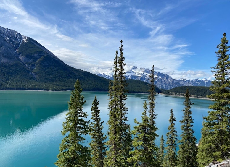 Picture 6 for Activity Banff PRIVATE Guided Nature Walk + Transportation - 2.5H