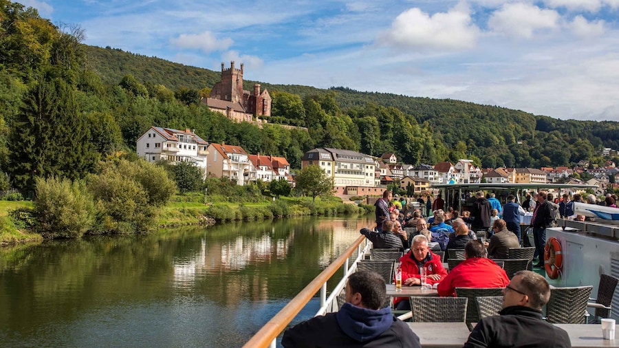 Heidelberg: Riverboat Tour to Neckarsteinach and drinks incl