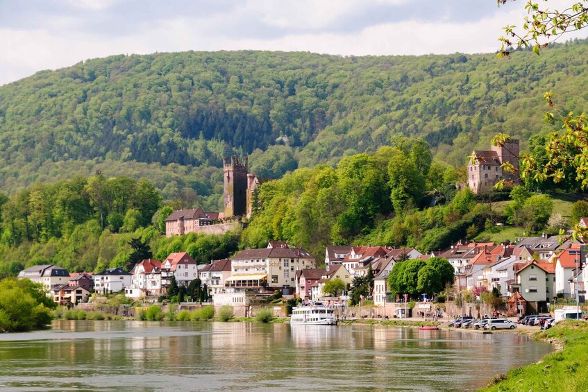 Picture 2 for Activity Heidelberg: Riverboat Tour to Neckarsteinach and drinks incl