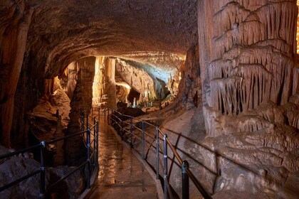 Von Bled aus: Tagesausflug zur Höhle von Postojna und zur Burg Predjama