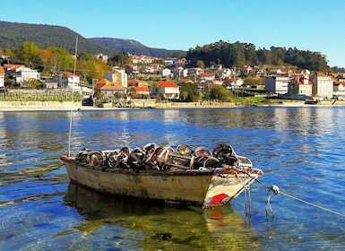 Desde Santiago: tour de un día de marisco y vino por las Rías Baixas Galici...