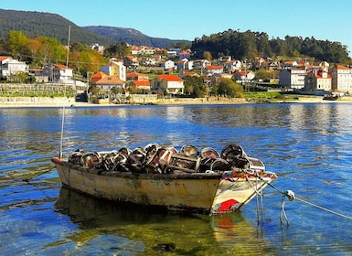Vanuit Santiago: Rías Baixas Galicië Zeevruchten & Wijn Dagtour