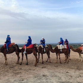 From Marrakesh: Sunset Camel Ride in the Agafay Desert