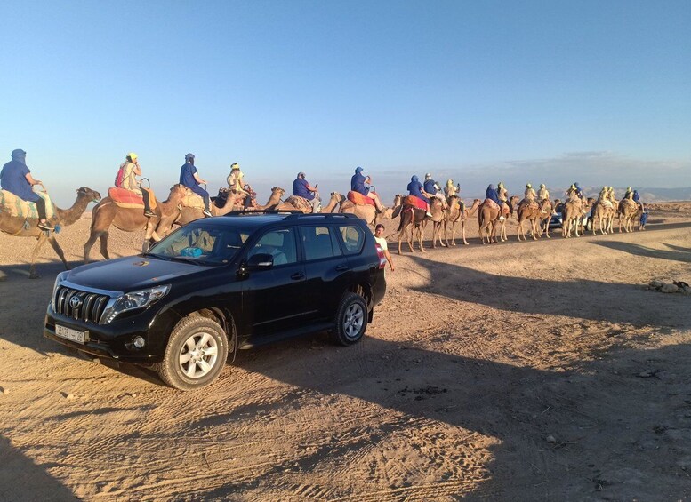 Picture 4 for Activity From Marrakesh: Sunset Camel Ride in the Agafay Desert