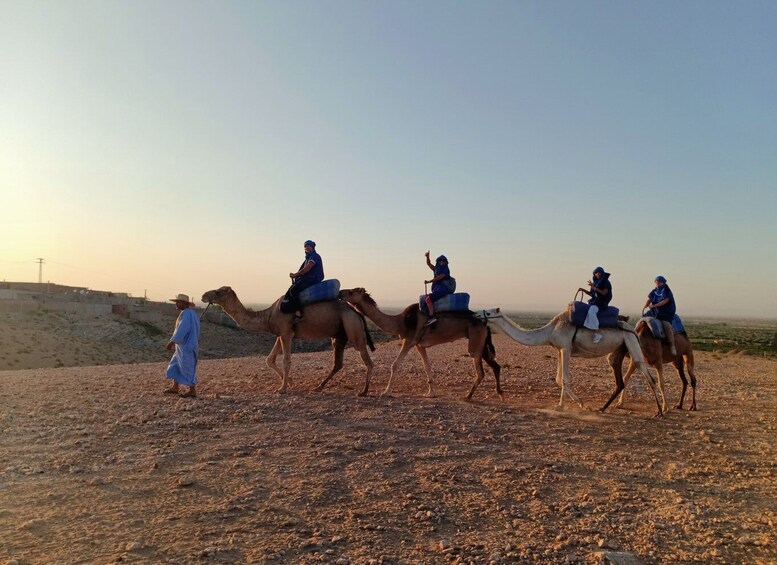 Picture 6 for Activity From Marrakesh: Sunset Camel Ride in the Agafay Desert