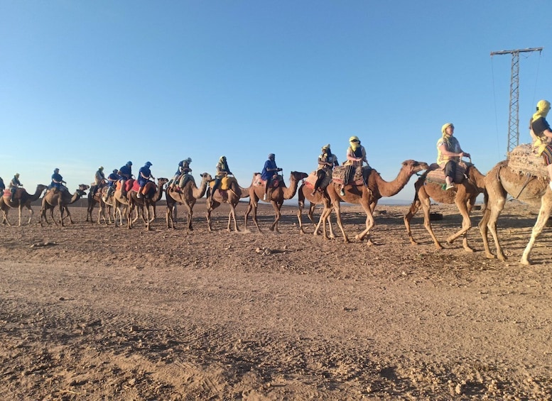 Picture 5 for Activity From Marrakesh: Sunset Camel Ride in the Agafay Desert
