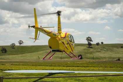 Barossa Valley : Vol d’hélicoptère panoramique de 30 minutes