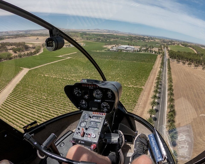 Picture 3 for Activity Barossa Valley: Scenic Flight of Nuriootpa, Lyndoch, & More
