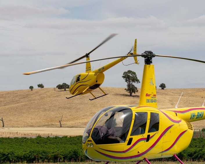 Picture 2 for Activity Barossa Valley: 30 Minute Scenic Helicopter Flight