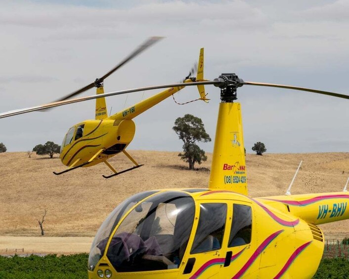 Picture 2 for Activity Barossa Valley: 30 Minute Scenic Helicopter Flight