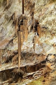 From Ljubljana: Postojna Cave & Predjama Castle Guided Trip