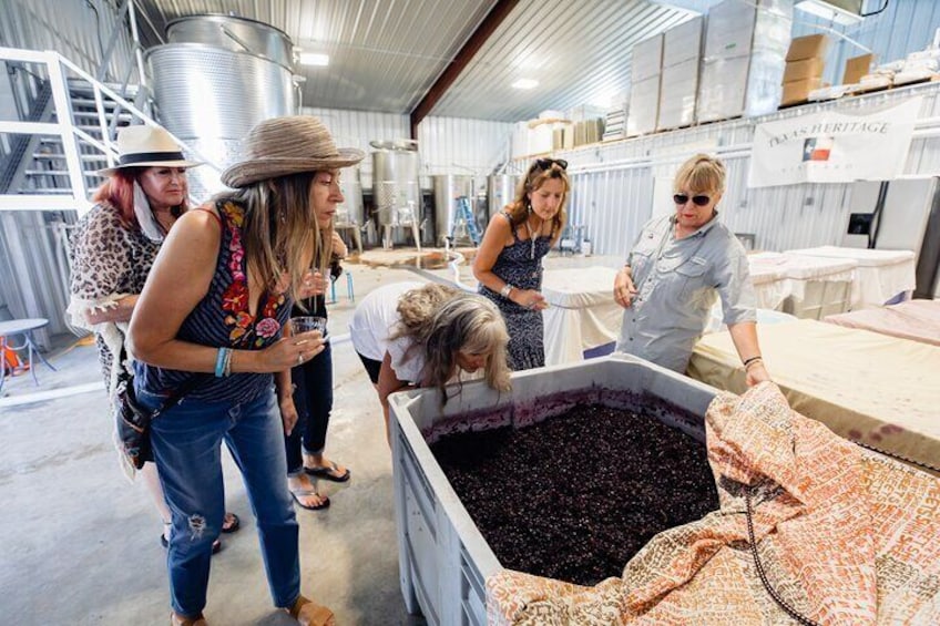 Wine, Brew and Spirits Tasting Tour