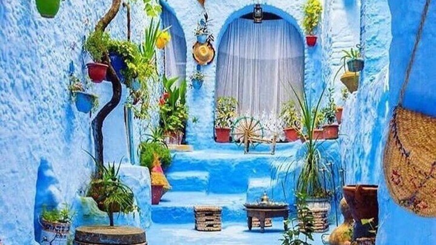 Full-Day Tour to the Blue City Chefchaouen on Small-Group
