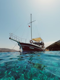 Bodrum: Crucero privado en barco durante todo el día con almuerzo