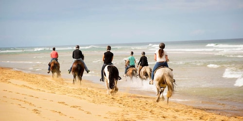 Hammamet: Guided Horseback Riding Tour