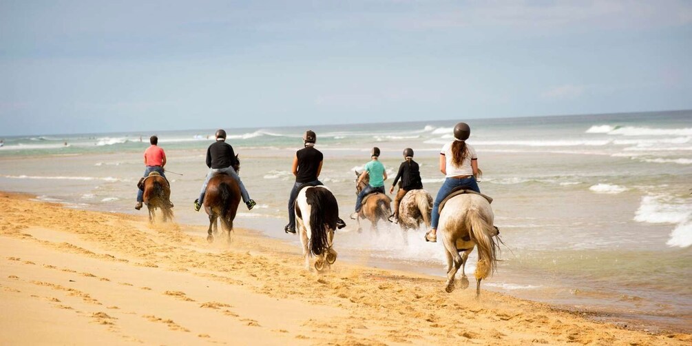 Picture 2 for Activity Djerba: Guided Horseback Riding Tour