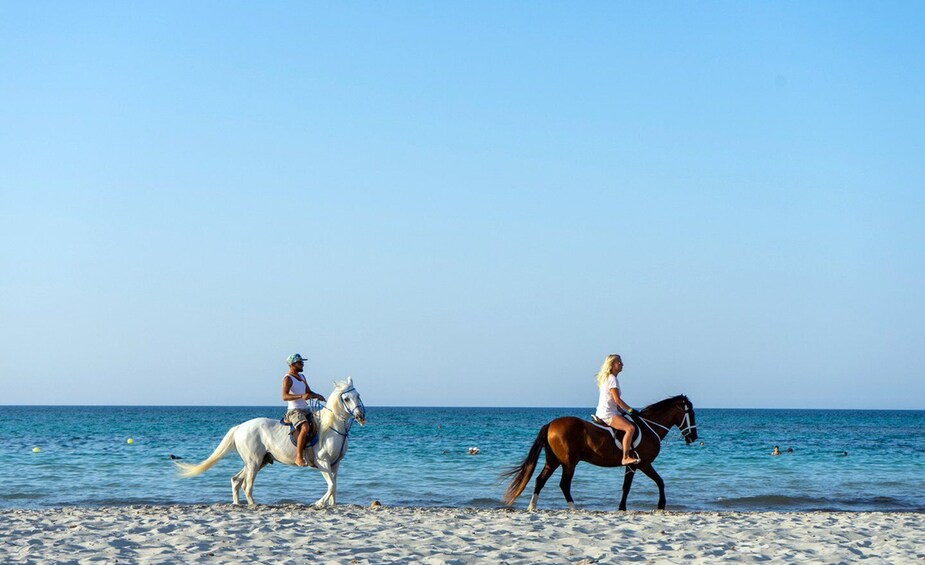 Picture 4 for Activity Djerba: Guided Horseback Riding Tour