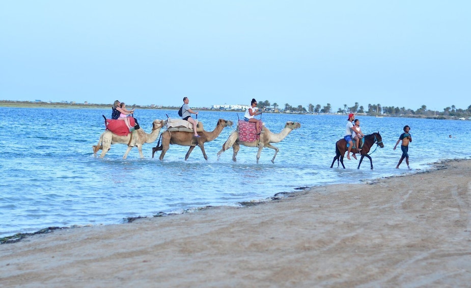 Picture 1 for Activity Djerba: Guided Horseback Riding Tour