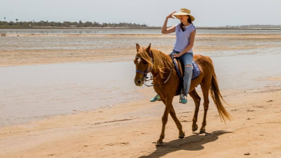 Djerba: Guided Horseback Riding Tour