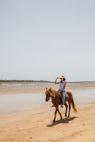 Djerba: Paardrijtocht met gids
