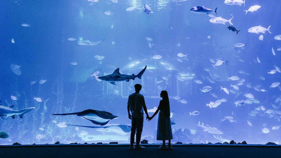 Gran Canaria: Poema del Mar Skip-the-Line Ticket