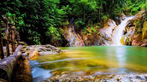 普吉岛白水漂流和丛林探险（含午餐