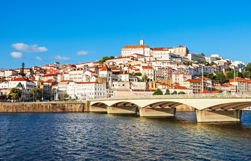 From Porto: Sanctuary of Fatima & Coimbra Private Day Trip