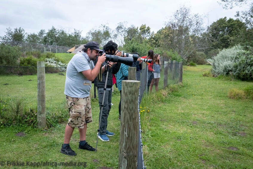 Picture 7 for Activity Plettenberg Bay: Private Guided Tour