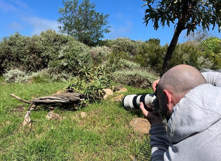 Picture 1 for Activity Plettenberg Bay: Private Guided Wildlife Photography Tour