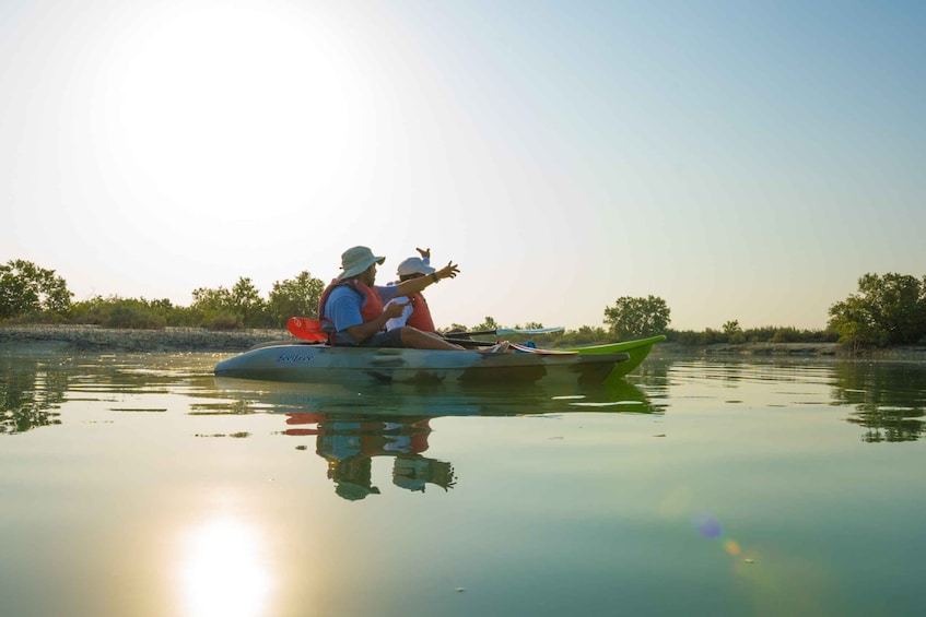 Picture 3 for Activity Abu Dhabi: 2-hour Guided Kayak Tour in the Mangroves