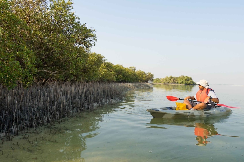 Picture 4 for Activity Abu Dhabi: 2-hour Guided Kayak Tour in the Mangroves