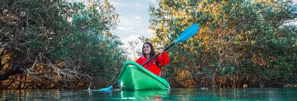 Picture 1 for Activity Abu Dhabi: 2-hour Guided Kayak Tour in the Mangroves