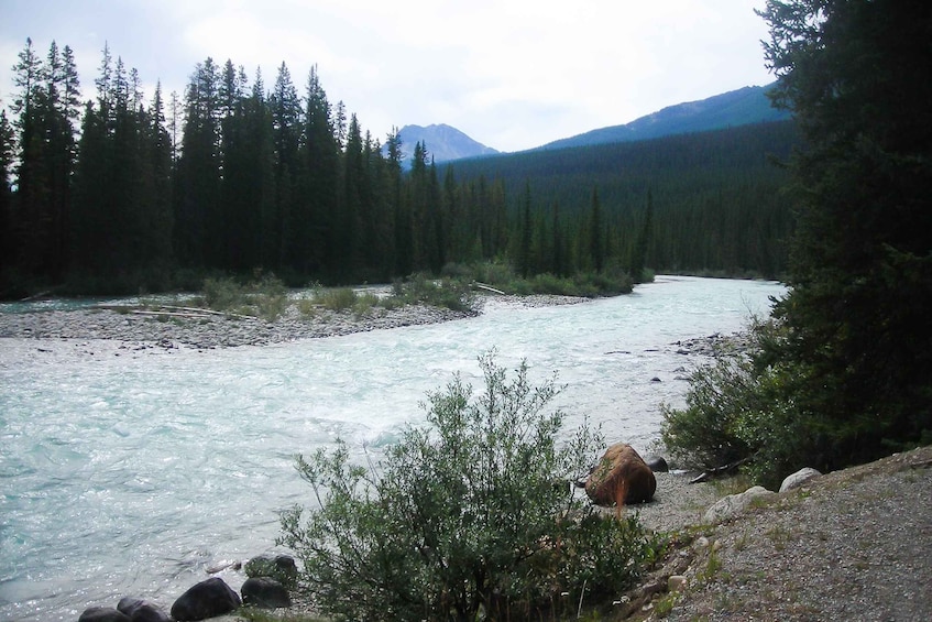 Picture 6 for Activity Tunnel Mountain Trail: Nature Tour with Audio Guide