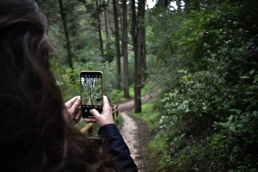 Picture 8 for Activity Tunnel Mountain Trail: Nature Tour with Audio Guide