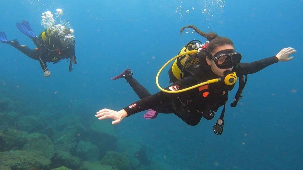 Picture 4 for Activity Santa Cruz de Tenerife: Introductory Diving Course & 2 Dives