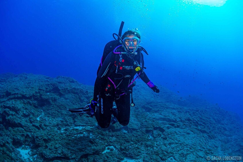 Picture 2 for Activity Santa Cruz de Tenerife: Introductory Diving Course & 2 Dives